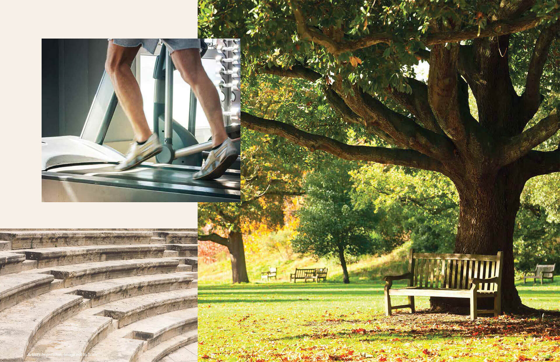 layout-right-section